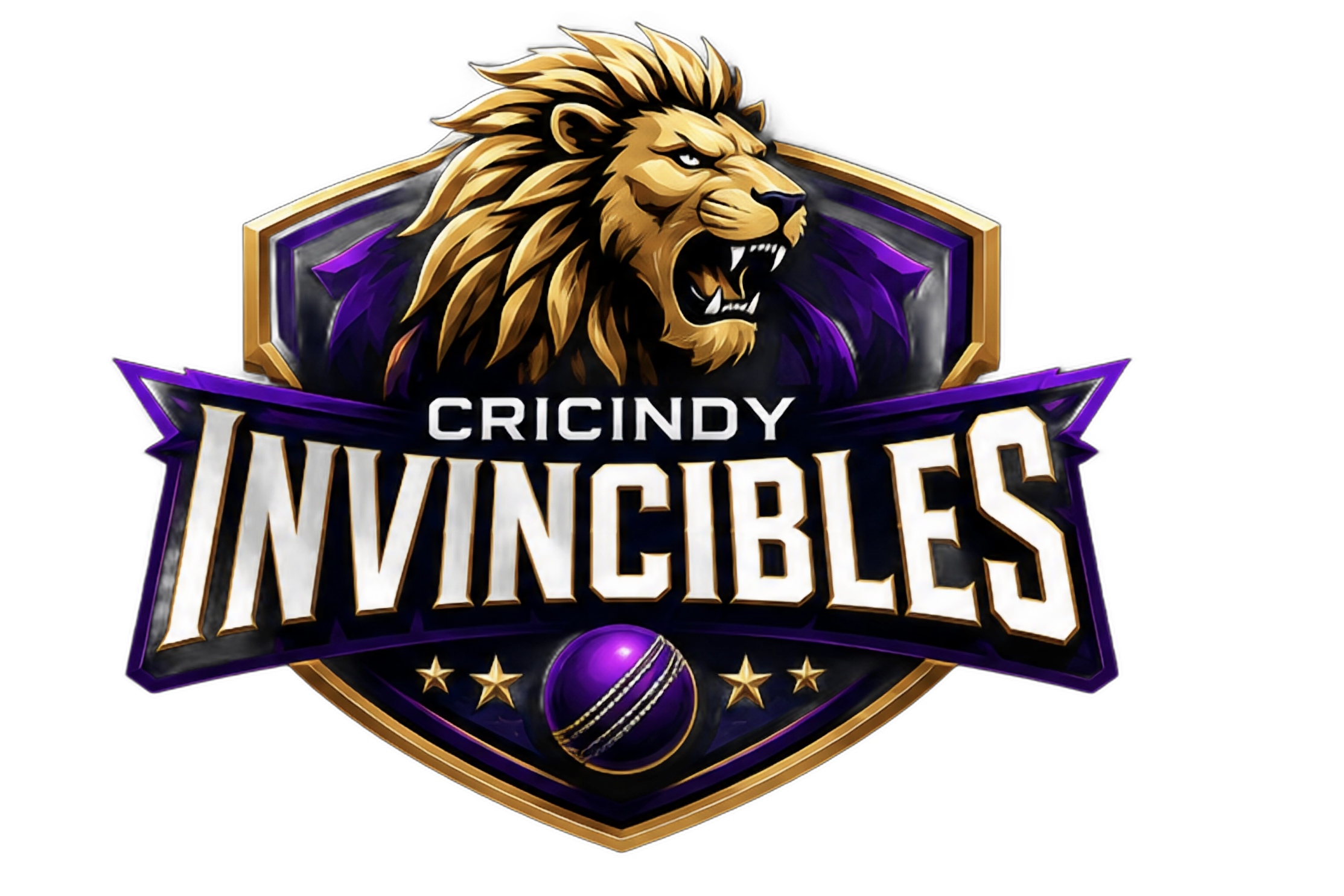 cricindyinvincibles